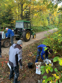 Arbeitseinsatz Waldlehrpfad Schopfloch