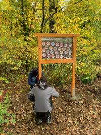 Arbeitseinsatz Waldlehrpfad Schopfloch